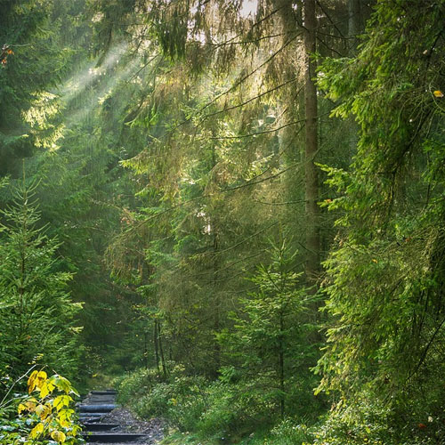 UBYTOVÁNÍ U MILANA