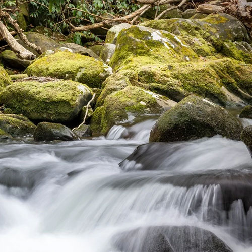 UBYTOVÁNÍ U MILANA