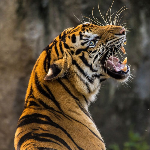 UBYTOVÁNÍ U MILANA